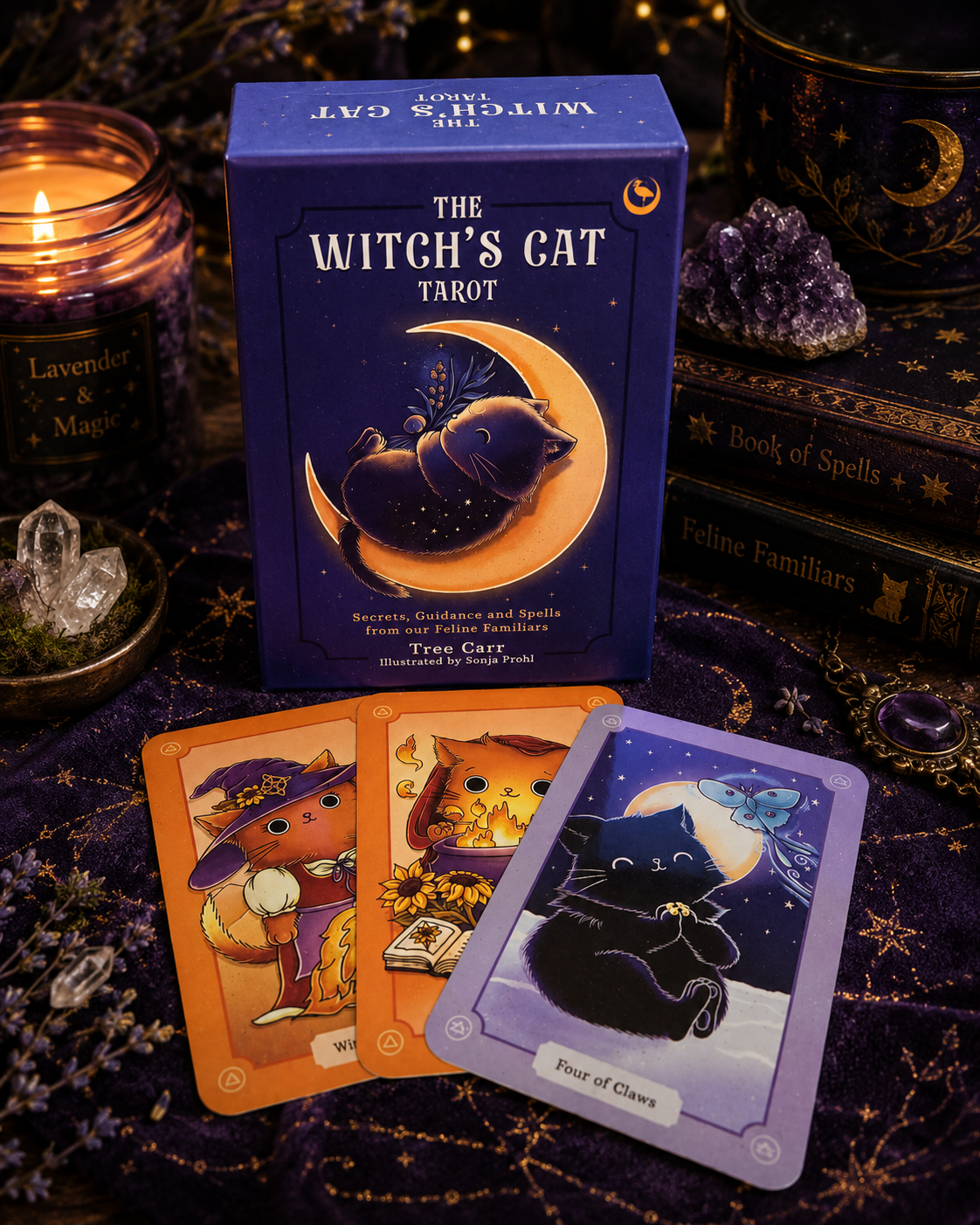 The Witch’s Cat Tarot 🐈⬛🌙✨