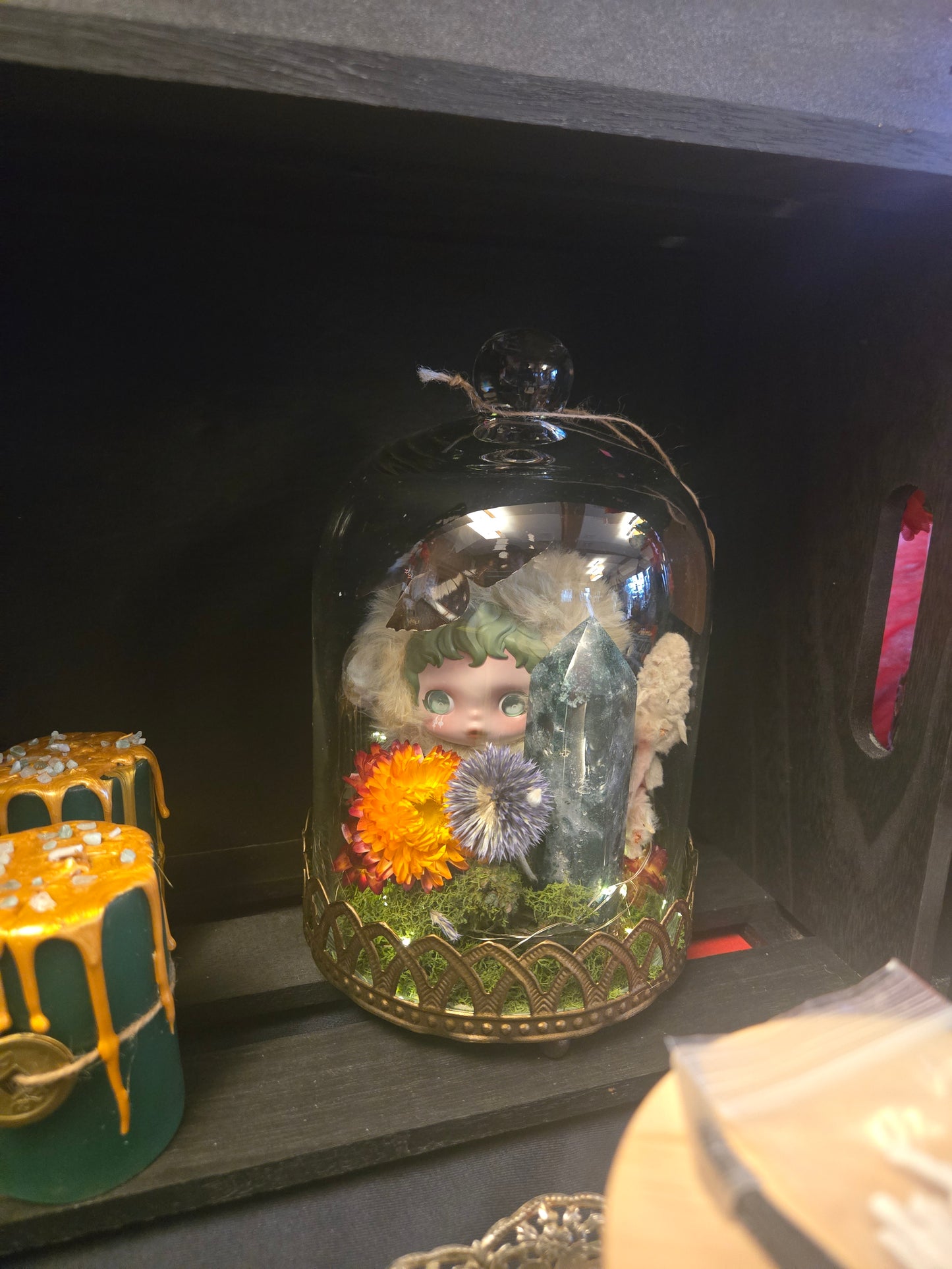 Enchanted Terrarium Dome