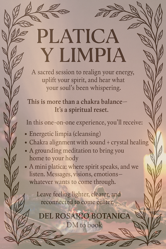 Platica y Limpia