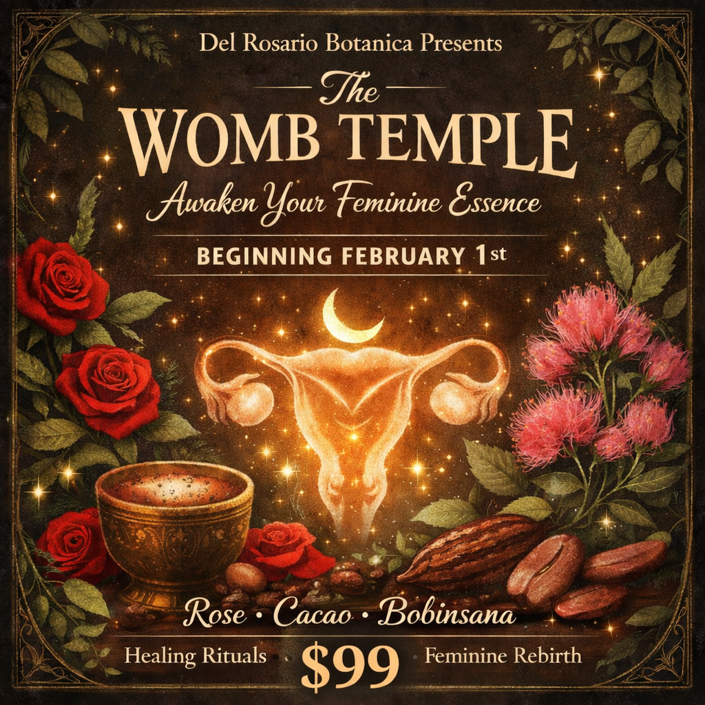 🌺 The Womb Temple (1:1 Womb Healing)