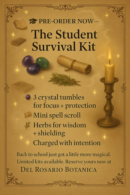The Student Survival Kit ( pre order)