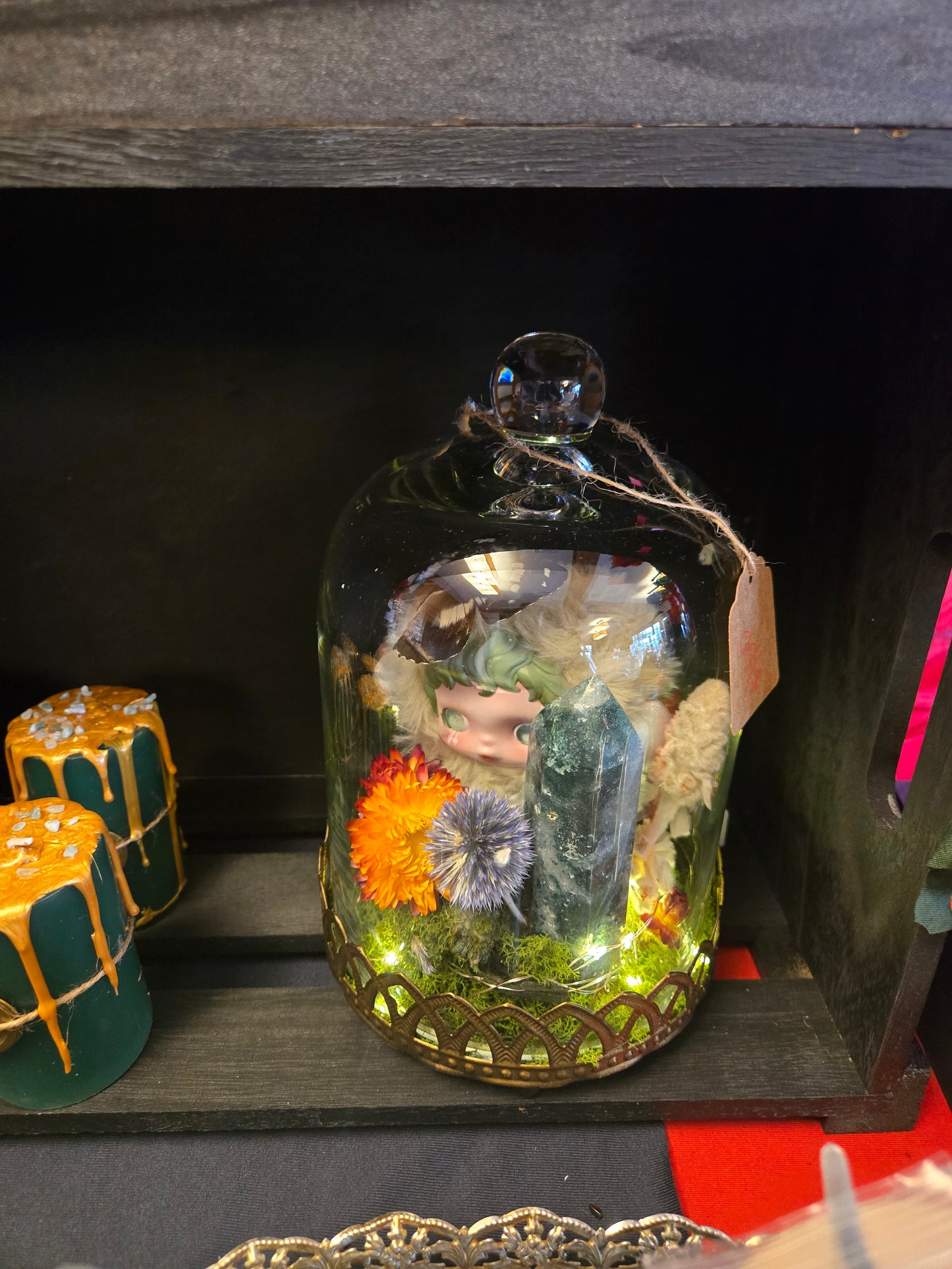Enchanted Terrarium Dome