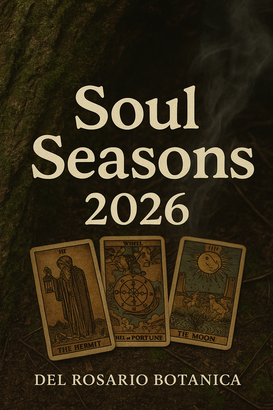 Soul Seasons 2026
