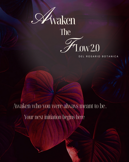 Awaken the flow 2.0