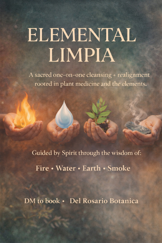 ELEMENTAL LIMPIA (1:1 Session)